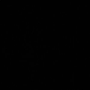 Meet your Posher, Camilla